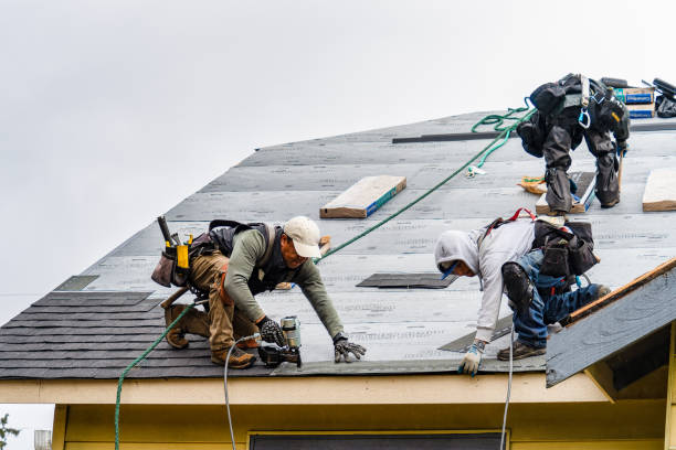 Professional Roof Inspection technician working in Dallas City, IL